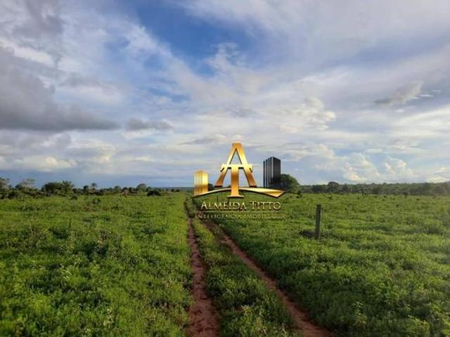 Sítio e chácara venda em Região Geográfica Imediata de Confresa - Vila Rica, São José do Xingu