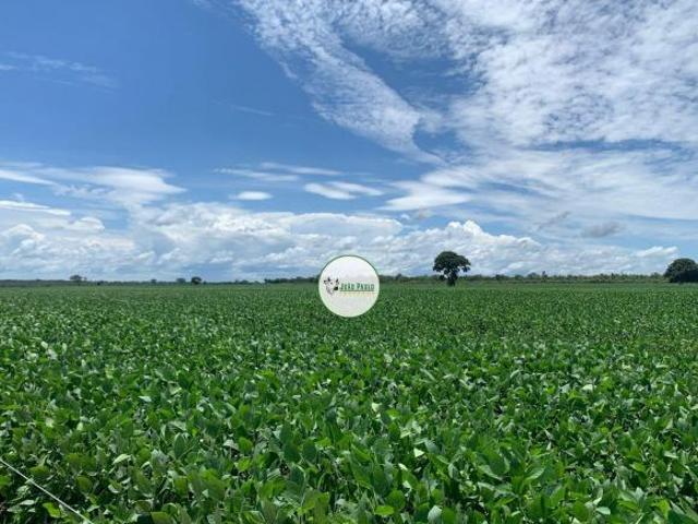 Sítio e chácara venda em Região Geográfica Imediata de Porangatu, São Miguel do Araguaia
