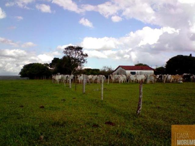Sítio e chácara venda em Região Geográfica Imediata de Uberaba, Sacramento