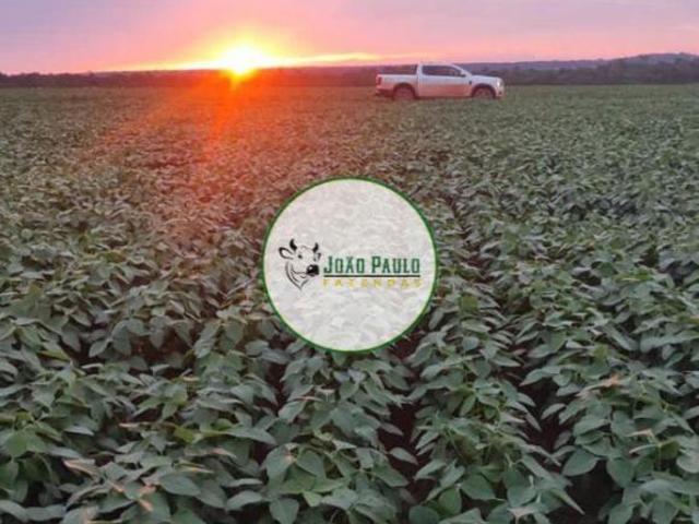 Sítio e chácara venda em Região Geográfica Imediata de Confresa - Vila Rica, Santa Cruz do Xingu
