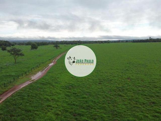 Sítio e chácara venda em Região Geográfica Imediata de Pirapora, Santa Fé de Minas