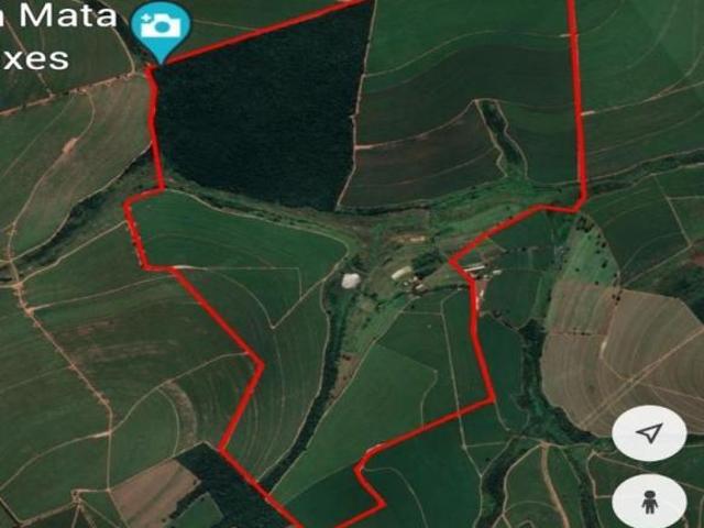 Sítio e chácara venda em Região Imediata de Araraquara, Santa Lucia