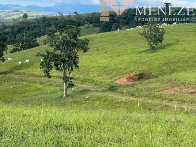 Sítio e chácara venda em Santa Rita de Caldas, Região Geográfica Intermediária de Pouso Alegre