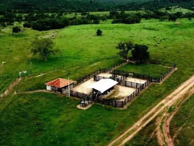 Fazenda venda em Região Geográfica Imediata de Ceres - Rialma - Goianésia, Santa Terezinha de Goiás