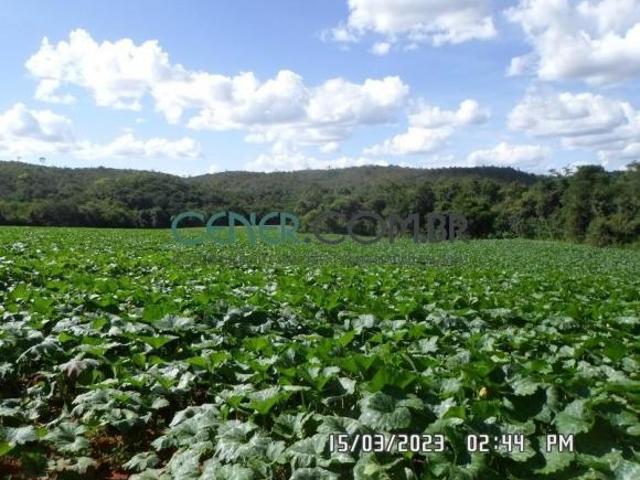 Sítio e chácara venda em Região Geográfica Imediata de Sete Lagoas, Santana de Pirapama