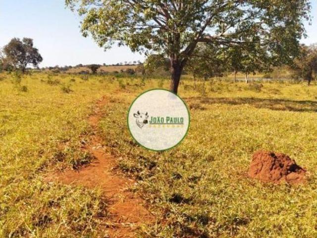 Sítio e chácara venda em Região Geográfica Imediata de Iturama, São Francisco de Sales