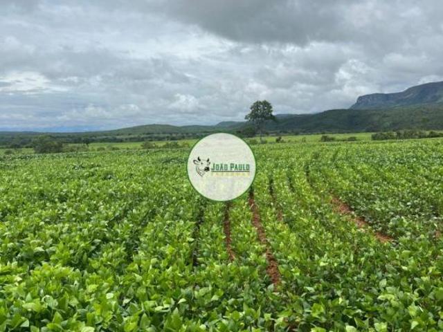 Sítio e chácara venda em Região Geográfica Imediata de Flores de Goiás, São João d'Aliança