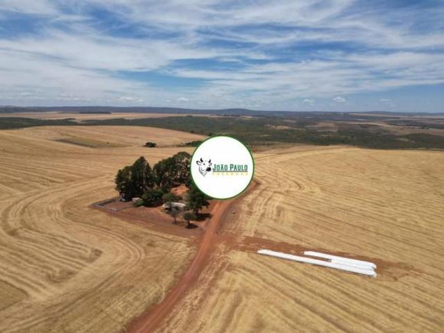 Sítio e chácara venda em Região Geográfica Imediata de Flores de Goiás, São João d'Aliança