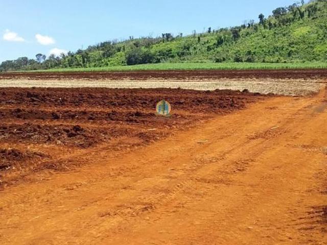 Sítio e chácara venda em Região Imediata de Ribeirão Preto, Região Metropolitana de Ribeirão Preto