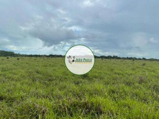 Sítio e chácara venda em Região Geográfica Imediata de Águas Lindas de Goiás, Região Integrada de Desenvolvimento do Distrito Federal e Entorno