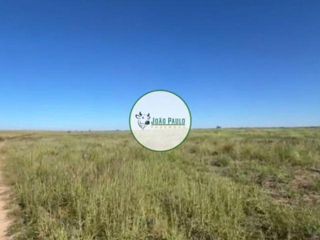 Sítio e chácara venda em Região Geográfica Imediata de Águas Lindas de Goiás, Região Integrada de Desenvolvimento do Distrito Federal e Entorno