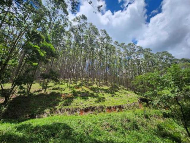 Sítio e chácara venda em Silveiras