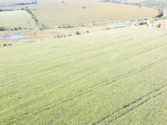 Sítio e chácara venda em Região Imediata de Avaré, Taquarituba