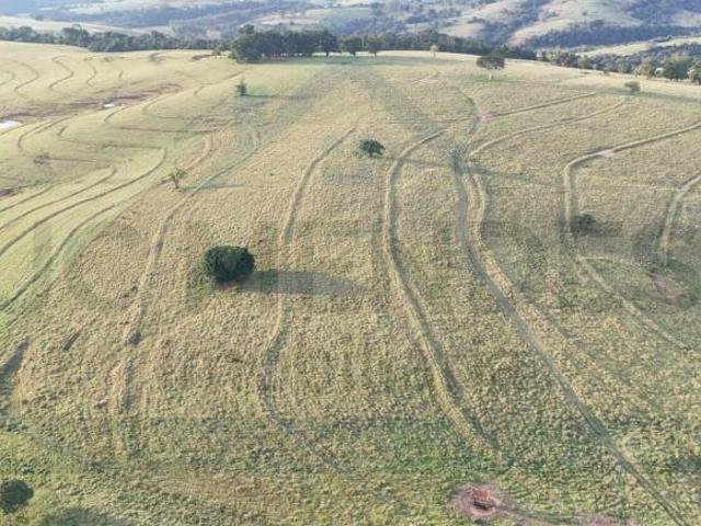 Sítio e chácara venda em Região Imediata de Tatuí, Região Metropolitana de Sorocaba