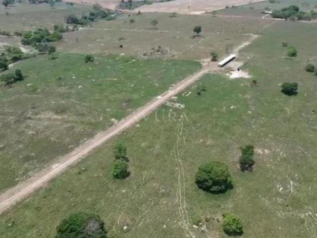Sítio e chácara venda em Terra Nova do Norte, Região Geográfica Intermediária de Sinop