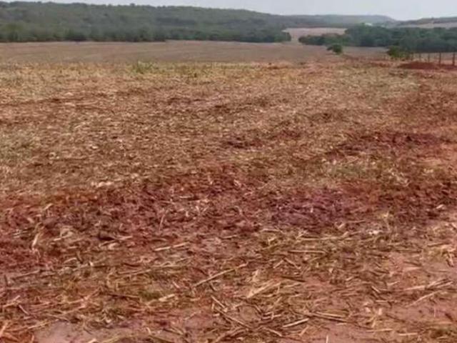 Sítio e chácara venda em Região Geográfica Imediata de Rondonópolis, Tesouro
