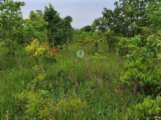 Sítio e chácara venda em Região Geográfica Imediata de Três Lagoas, Angélica