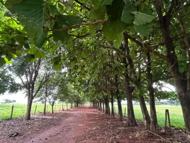 Fazenda venda em Região Geográfica Imediata de Goiânia, Trindade