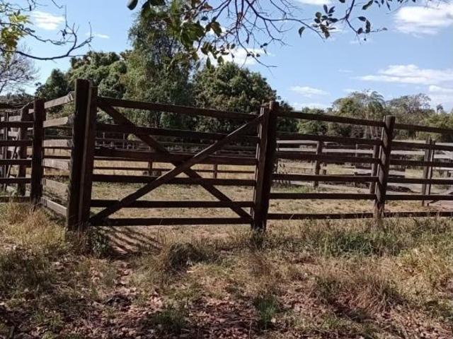 Sítio e chácara venda em Centro, Uberaba