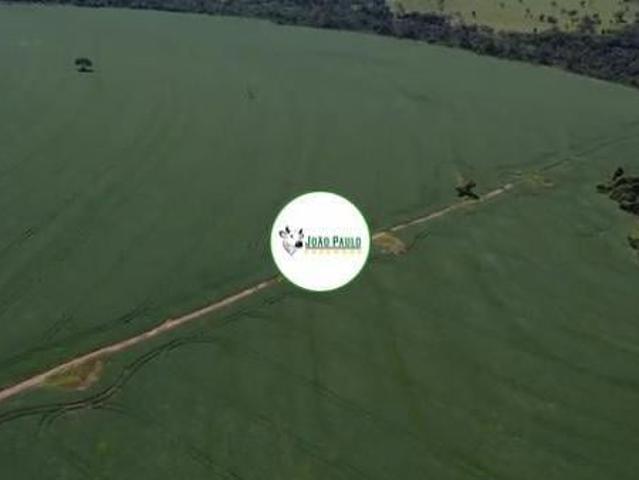 Sítio e chácara venda em Setor Norte, Uberlândia
