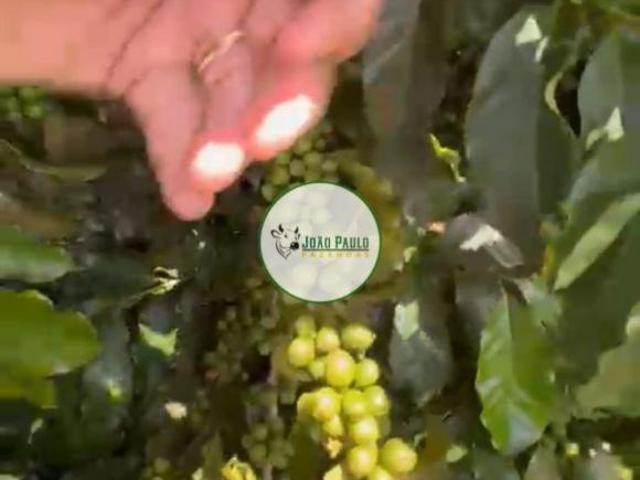 Sítio e chácara venda em Região Geográfica Imediata de Uberlândia, Oliveira Fortes