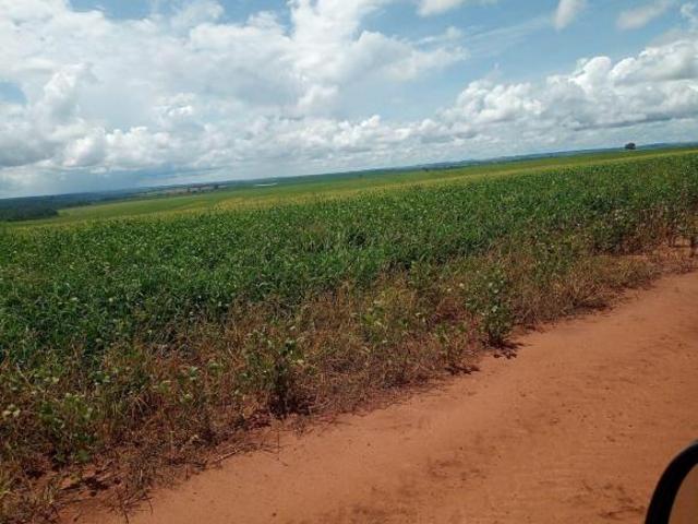 Sítio e chácara venda em Região Geográfica Imediata de Uberlândia, Oliveira Fortes