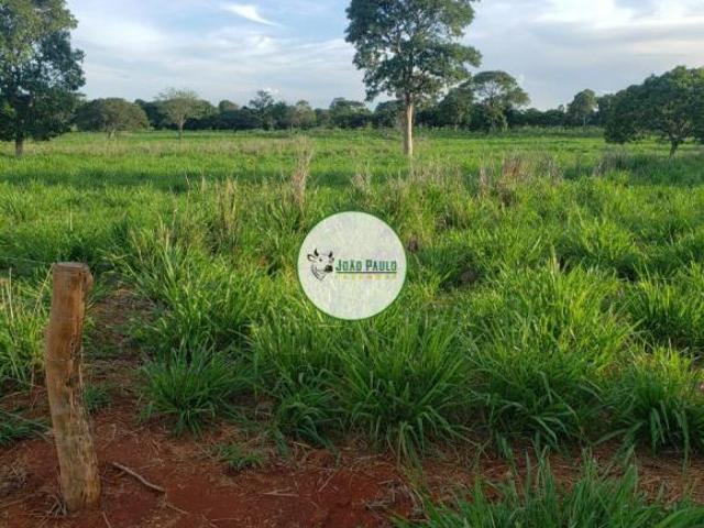 Sítio e chácara venda em Região Geográfica Imediata de Unaí, Região Integrada de Desenvolvimento do Distrito Federal e Entorno