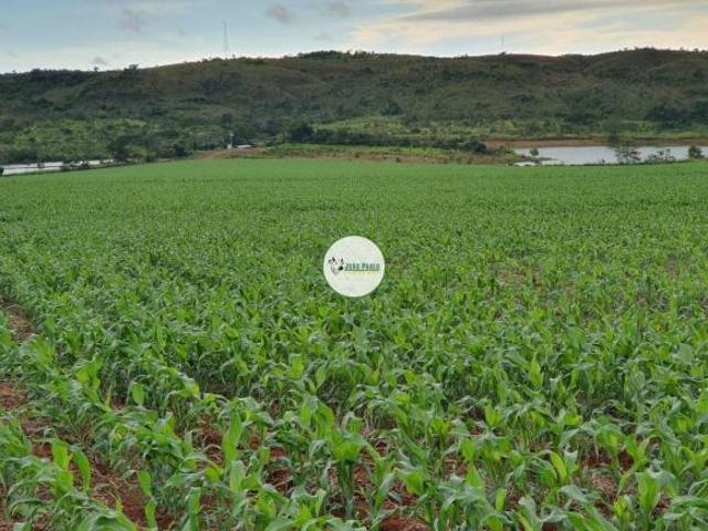 Sítio e chácara venda em Região Geográfica Imediata de Unaí, Região Integrada de Desenvolvimento do Distrito Federal e Entorno