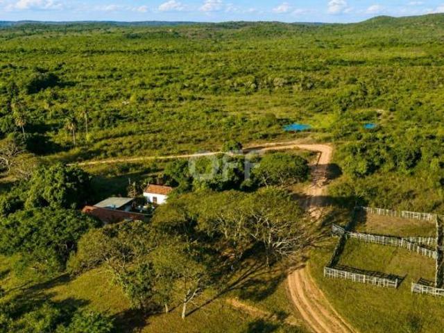 Sítio e chácara venda em Região Geográfica Imediata de Montes Claros, Grão Mogol