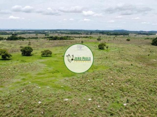 Sítio e chácara venda em Região Geográfica Imediata de Goiânia, Goiânia