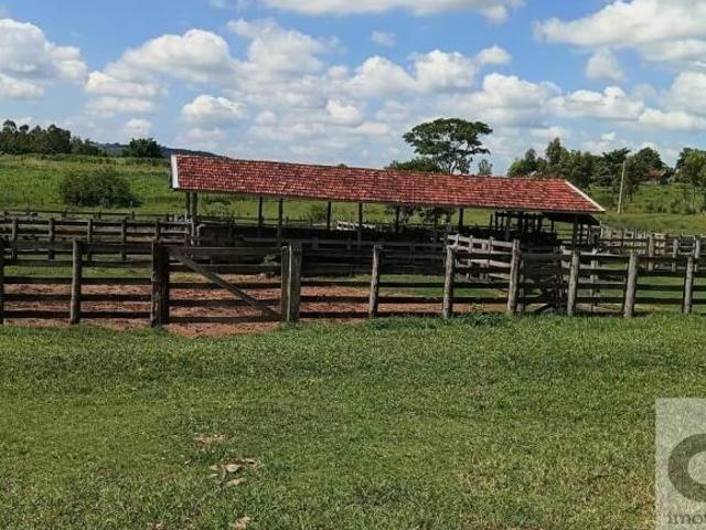 Sítio e chácara venda em Região Imediata de Marília, Região Sudeste