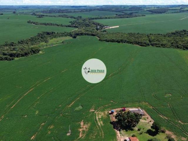 Sítio e chácara venda em Região Geográfica Imediata de Anápolis, Vianópolis