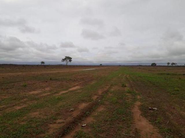 Sítio e chácara venda em Região Geográfica Imediata de Confresa - Vila Rica, Alto Boa Vista