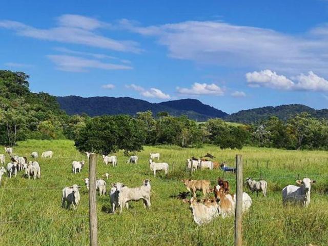 Sítio e chácara venda em Região Imediata de Registro, Jacupiranga