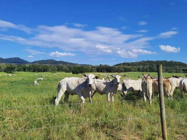 Sítio e chácara venda em Região Imediata de Registro, Jacupiranga