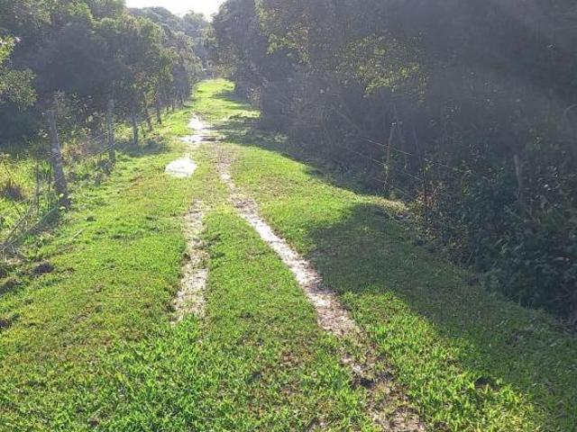 Terreno venda em Região Geográfica Imediata de Porto Alegre, Tavares