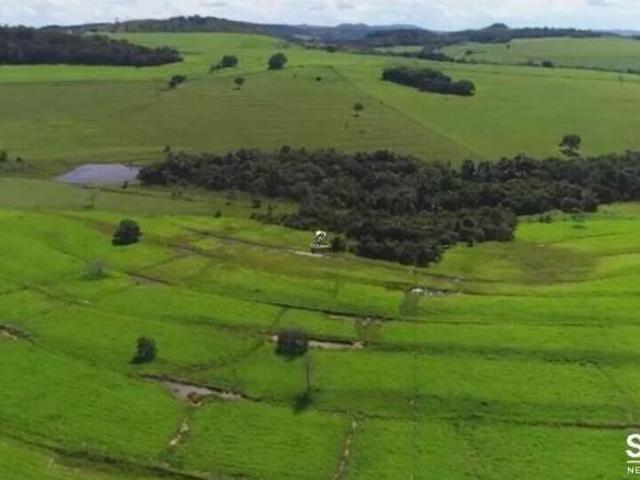 Sítio e chácara venda em Região Geográfica Imediata de Jataí-Mineiros, Caiapônia