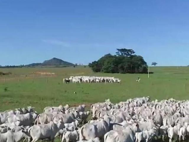 Sítio e chácara venda em Região Geográfica Imediata de Jataí-Mineiros, Caiapônia