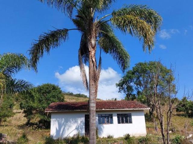 Sítio e chácara venda em Região Imediata de Itapeva, Ribeirão Branco