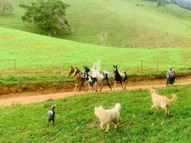 Sítio e chácara venda em Carandaí
