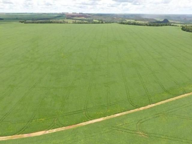 Sítio e chácara venda em Região Geográfica Imediata de Jataí-Mineiros, Jataí