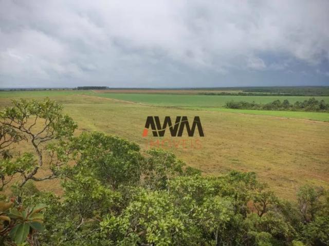 Fazenda venda em Região Geográfica Imediata de Guaraí, Pedro Afonso