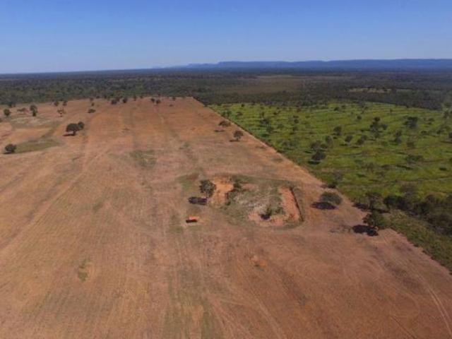 Sítio e chácara venda em Região Geográfica Imediata de Cáceres, Antônio João