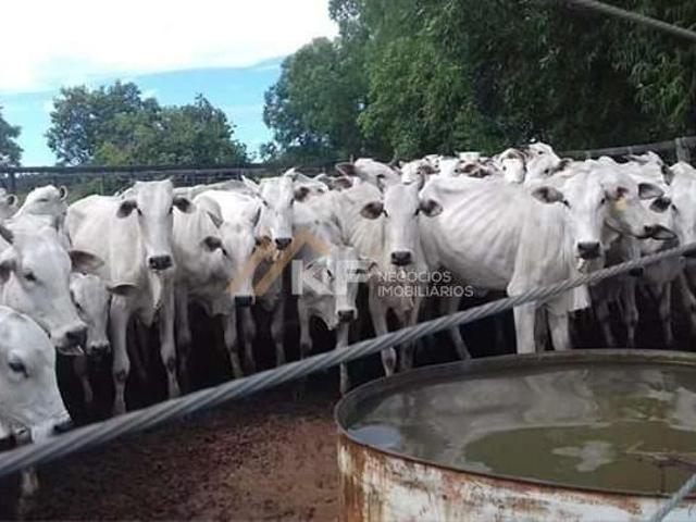 Sítio e chácara venda em Região Geográfica Imediata de Pirapora, Santa Fé de Minas