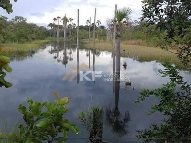 Sítio e chácara venda em Região Geográfica Imediata de Pirapora, Santa Fé de Minas