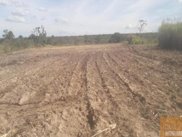 Sítio e chácara venda em Região Geográfica Imediata de Januária, Januária
