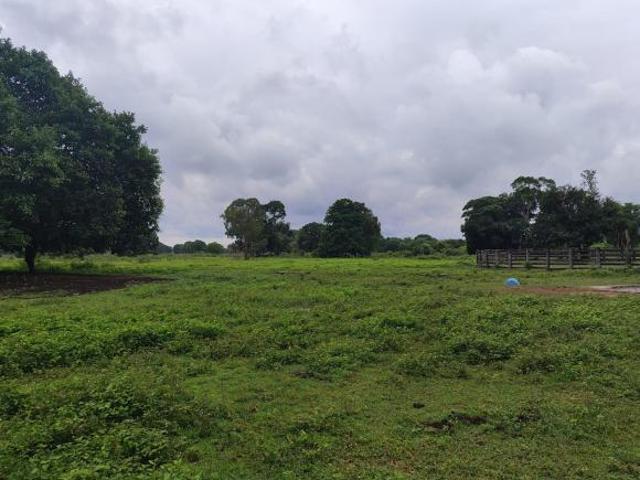 Sítio e chácara venda em Região Geográfica Imediata de Cuiabá, Poconé