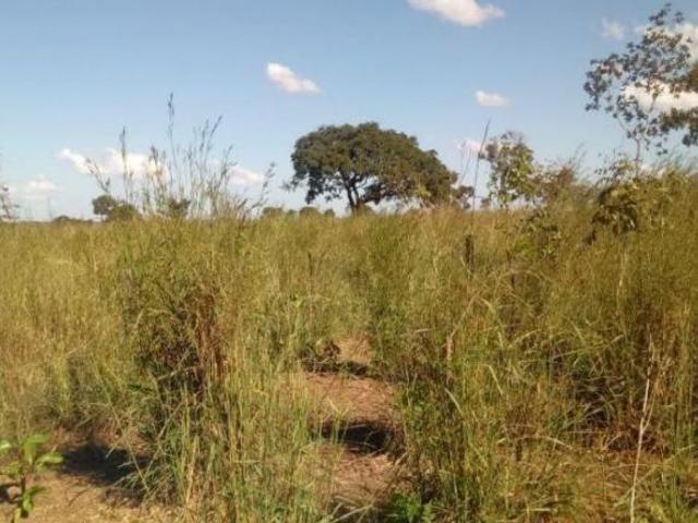 Sítio e chácara venda em Região Geográfica Imediata de Água Boa, Cocalinho
