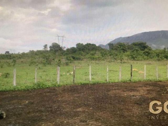 Sítio e chácara venda em Região Geográfica Imediata de Flores de Goiás, Cavalcante
