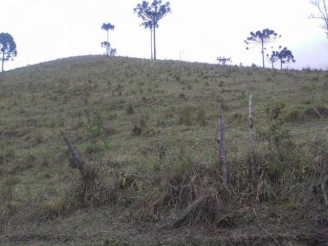 Sítio e chácara venda em Região Geográfica Imediata de Curitiba, Região Metropolitana de Curitiba
